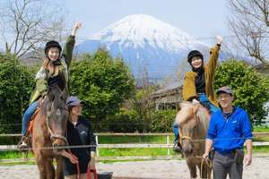 小田急百貨店の2026年「小田急スペシャル夢袋」は乗馬体験にヘリコプターで行く箱根旅などめっちゃ豪華