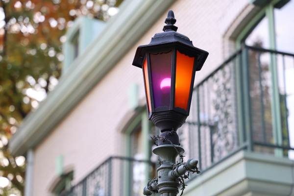 「EOS R6 Mark III」実写レビュー