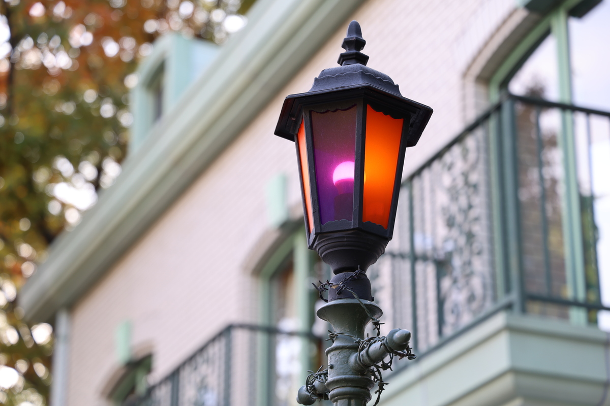 「EOS R6 Mark III」実写レビュー