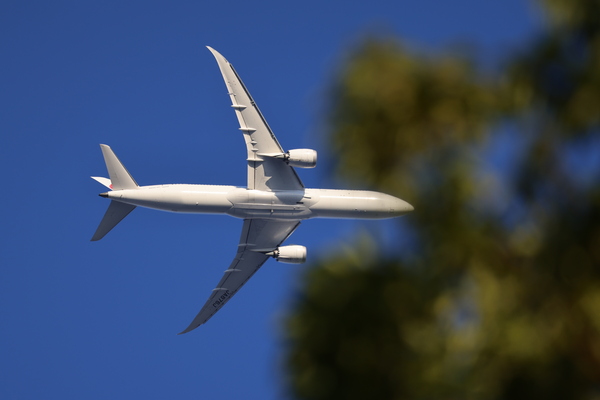 「EOS R6 Mark III」実写レビュー