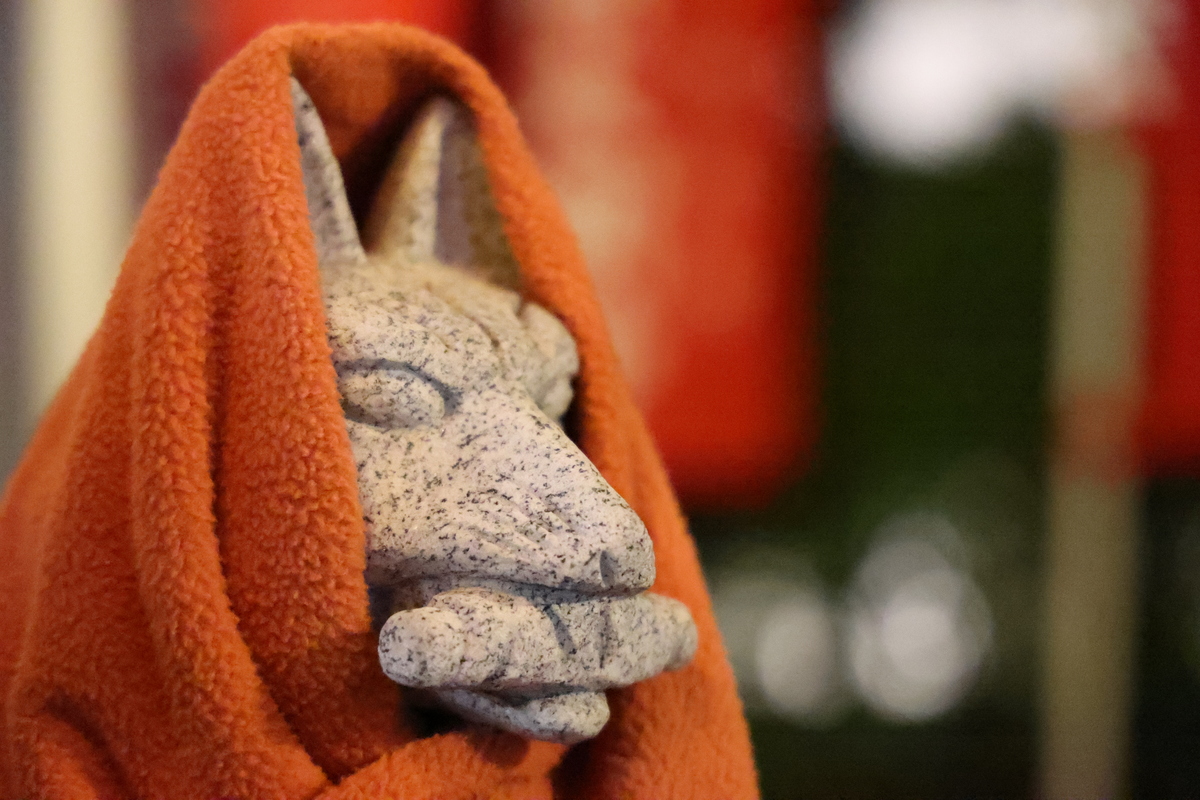 「EOS R6 Mark III」実写レビュー