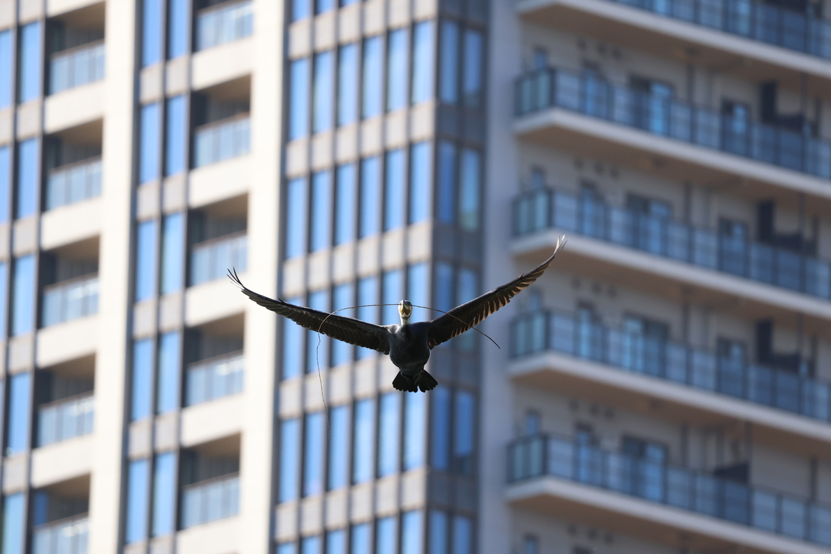 「EOS R6 Mark III」実写レビュー