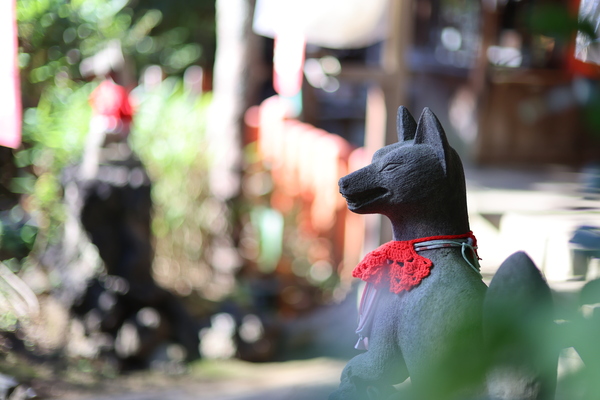 「EOS R6 Mark III」実写レビュー