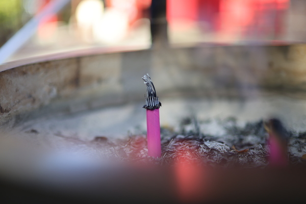 「EOS R6 Mark III」実写レビュー