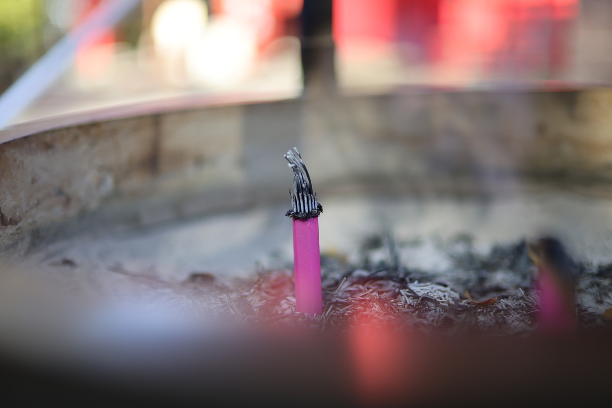 「EOS R6 Mark III」実写レビュー