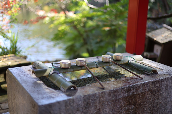 「EOS R6 Mark III」実写レビュー