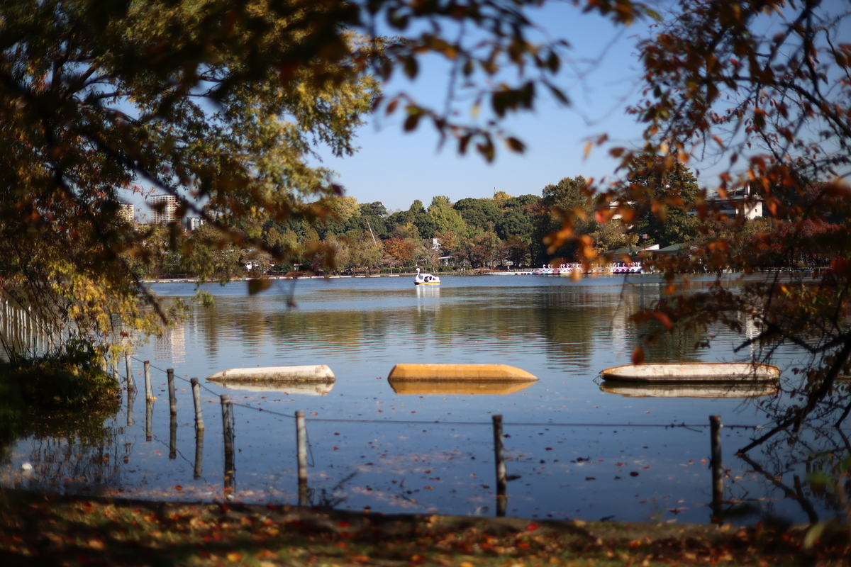 「EOS R6 Mark III」実写レビュー