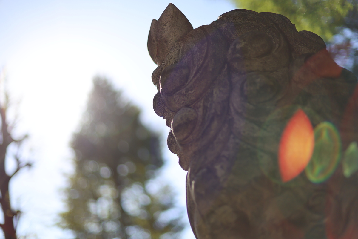 「EOS R6 Mark III」実写レビュー