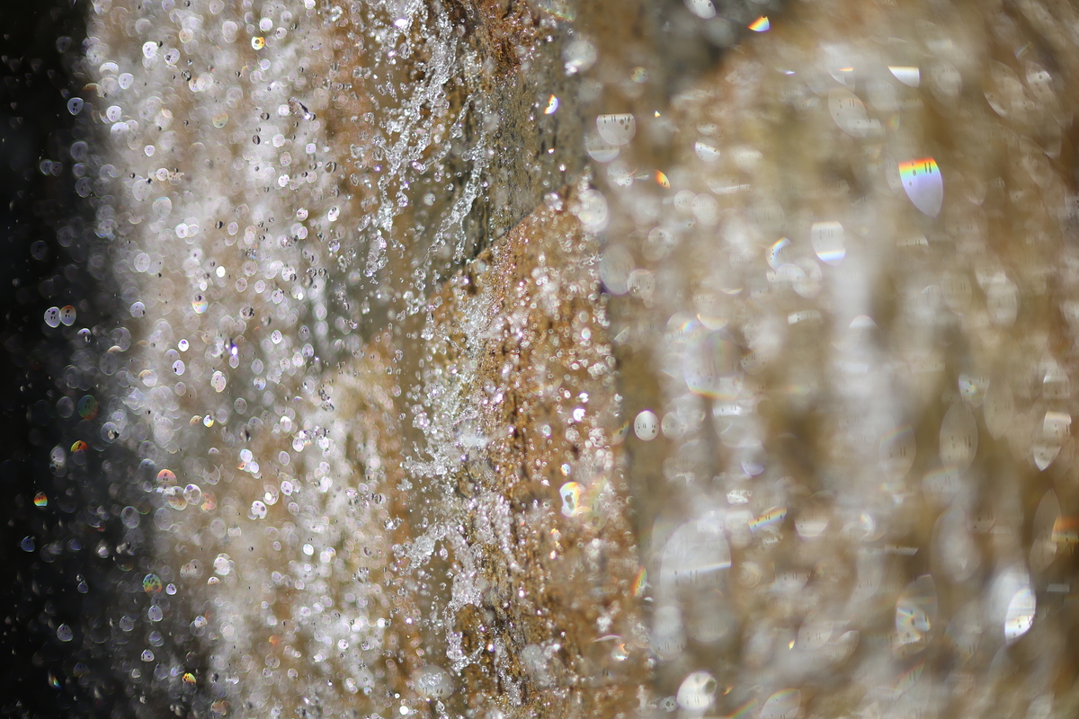 「EOS R6 Mark III」実写レビュー