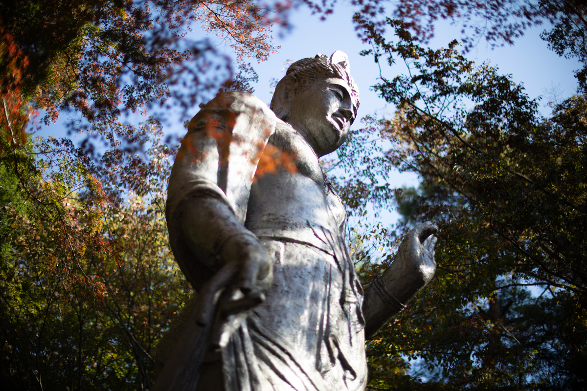 「EOS R6 Mark III」実写レビュー