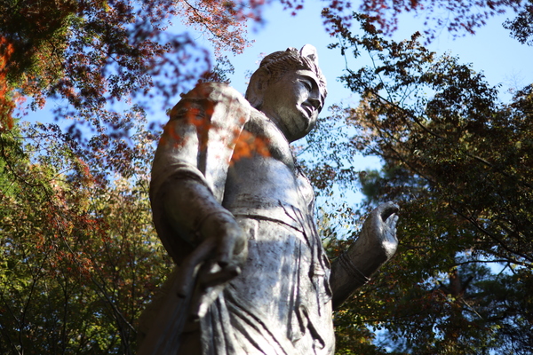 「EOS R6 Mark III」実写レビュー