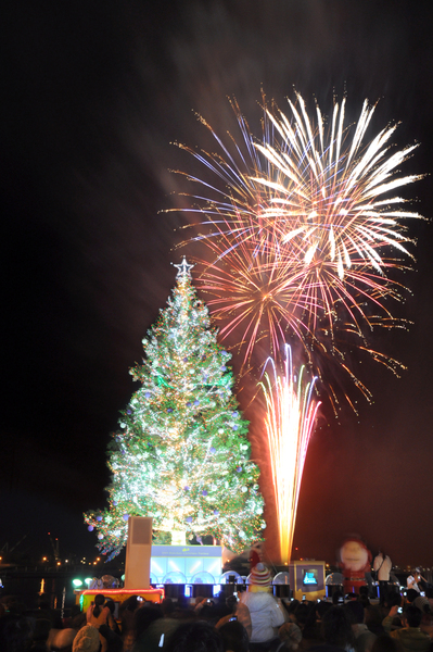 はこだてクリスマスファンタジー