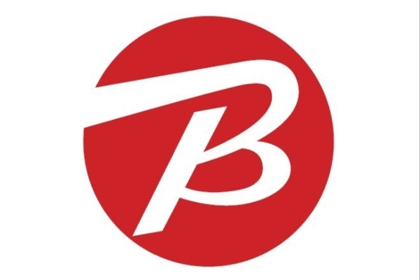 ビックカメラのロゴ