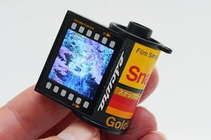 6000円なのに機能満載で楽しめました!! フィルム・パトローネ型デジカメ「SnapRoll」実機レビュー