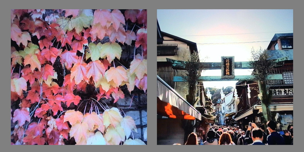 「SnapRoll」実機レビュー