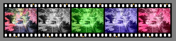 「SnapRoll」実機レビュー