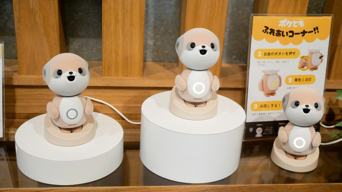 bb2cc1c4641724e5.jpg?20200122