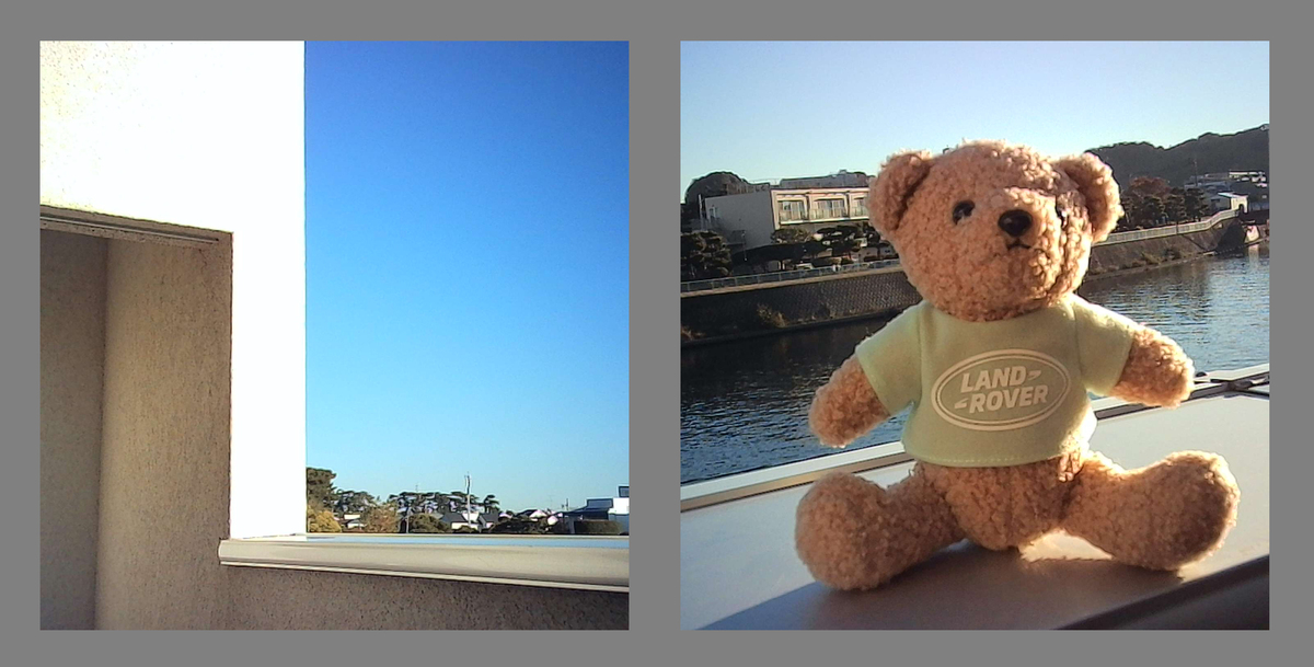 「SnapRoll」実機レビュー