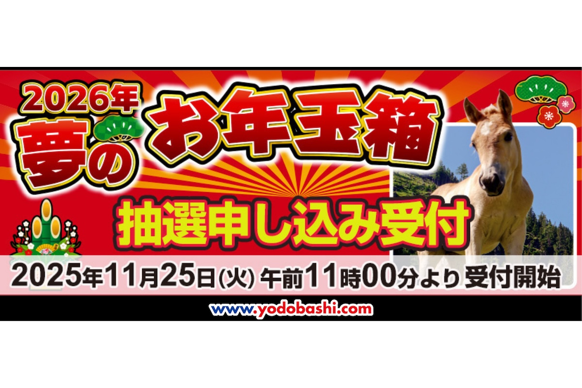ASCII.jp：ヨドバシ福袋、抽選販売スタート 人気商品は当選倍率170倍超 