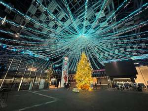 長岡の冬の風物詩「Aollumination2025-2026」で世界が青に輝くロマンチックなクリスマス【関越自動車道  長岡ICから約6km】