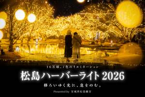 16万球で彩る松島がロマンチック♡移ろう光が美しい「松島ハーバーライト2026 in 宮城県松島離宮」【三陸縦貫自動車道 松島海岸ICから約3km】