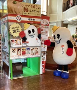限定絵柄でひょうちゃんとも写真が撮れる！ 崎陽軒限定プリントシール機を紹介するよ