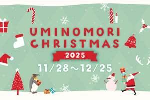 海の生き物たちもちょっぴりクリスマスムード！仙台うみの杜水族館で楽しむ『UMINOMORI CHRISTMAS』【常磐自動車道  仙台港IC から約1km】