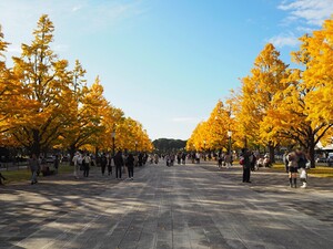 行幸通りの「行幸」ってどういう意味？ 意外と知らない丸の内を象徴する大通りを深堀り散策！