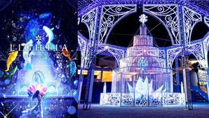 横浜・八景島シーパラダイス、海のクリスマスを彩る「LIGHTIA クリスタルツリー」登場！