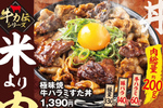 総重量500g超！牛ハラミ×豚バラのボリューム丼が登場！「米より肉」な大迫力