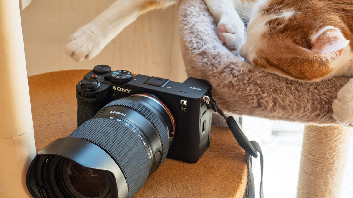 ASCII.jp：猫撮り散歩に最高！ 軽くて取り回し抜群のタムロンレンズで