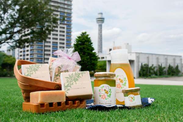 アメリカ山公園で幻想的なイルミネーション開催！ミツバチが光をもたらす