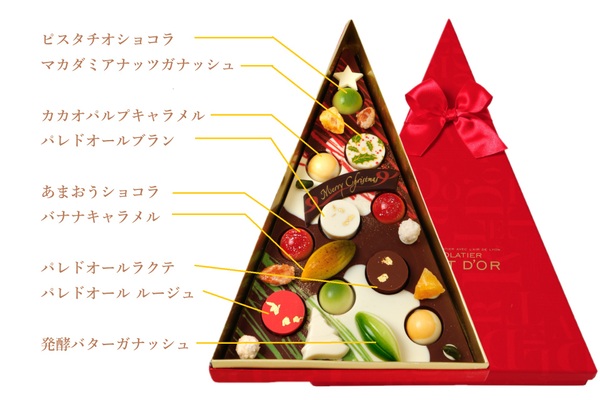 「ショコラティエ パレドオール」の「ジャルダン・ド・ノエル」