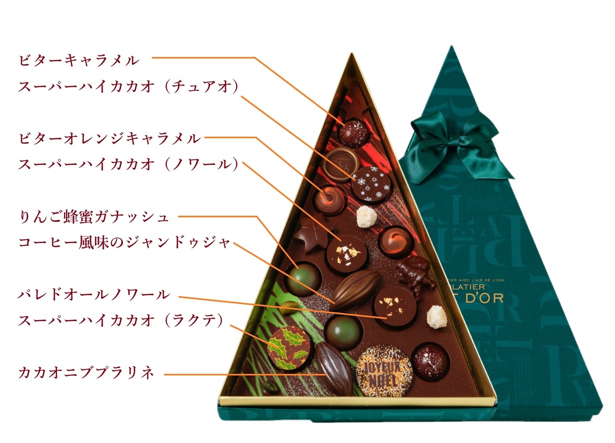 「ショコラティエ パレドオール」の「サパン・ド・ニュイ」