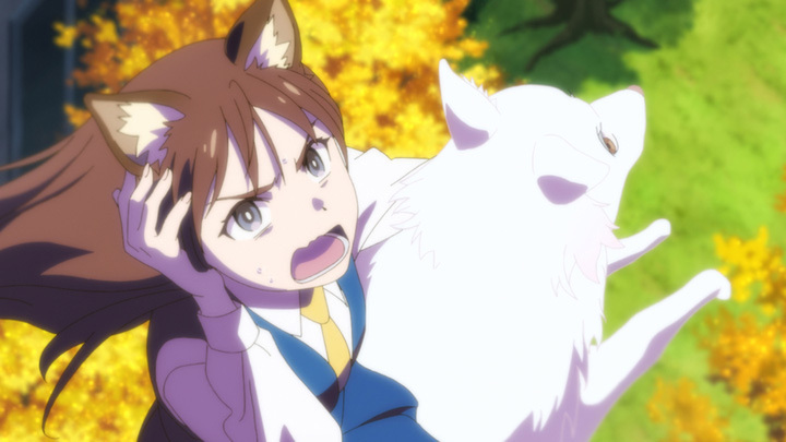 『この本を盗む者は』