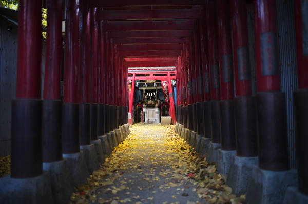 「ライカM EV1」実機レビュー