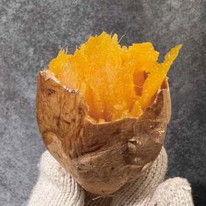 「芋博」で甘く豊かな芋スイーツを体験！冬を彩る限定イベントが開催