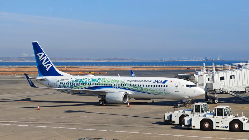ボディの下に隠れていたのは…ANA新デザイン機の正体がついに判明【初