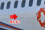 ボディの下に隠れていたのは…ANA新デザイン機の正体がついに判明【初公開】