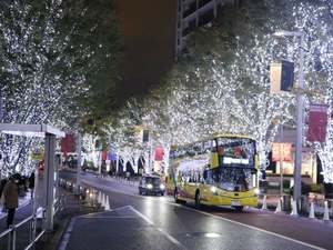 たまには「はとバス」で東京ナイトツアーもいいんじゃない？2階建てオープンバスでイルミネーションも満喫