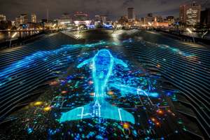 大さん橋に光のくじらが泳ぐ！横浜のイルミネーションイベントが大規模すぎて満足度高すぎる