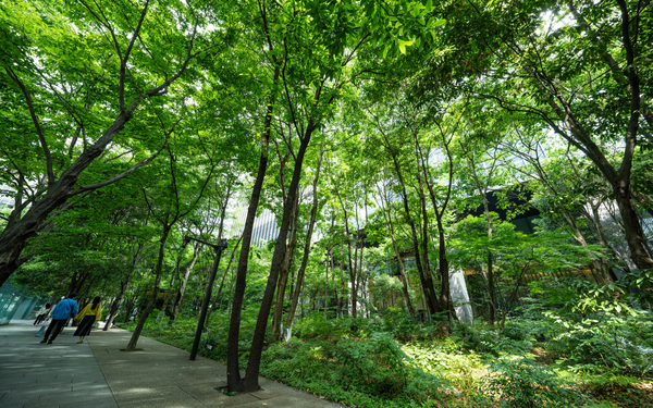 大手町の森