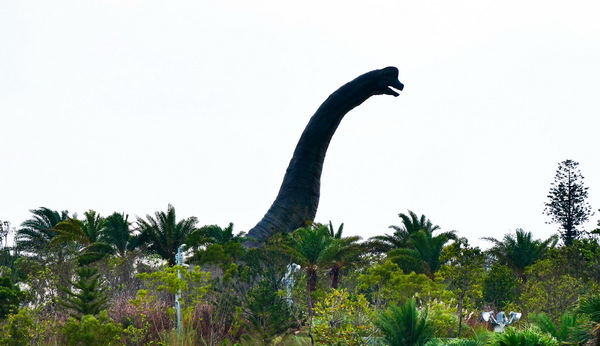 「ジャングリア沖縄」冬のお得チケット情報