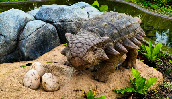 「ジャングリア沖縄」冬のお得チケット情報