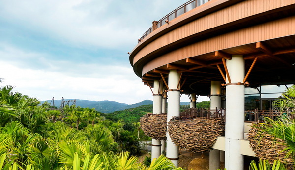 「ジャングリア沖縄」冬のお得チケット情報