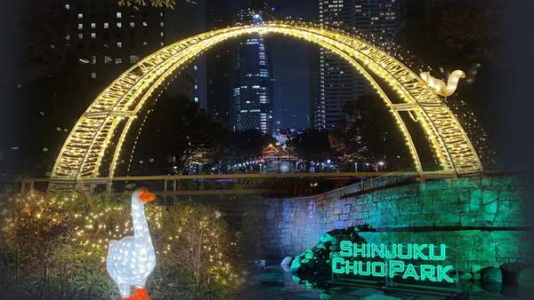 新宿中央公園もフォトジェニック！ナイアガラの滝のカラーチェンジも楽しい！