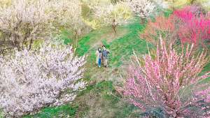 日本三名園「偕楽園」で1日過ごす！ドローン記念撮影して普段は入れない場所でスイーツを食べて、夜はライトアップ鑑賞【北関東自動車道 水戸南ICから約5km】