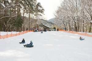 国営アルプスあづみの公園は、そりもスノーシューも歩くスキーも無料レンタルOK！【長野自動車道 安曇野ICから約9km】