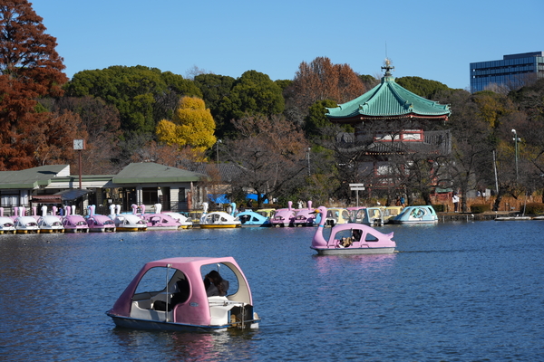 ソニー「α7Ⅴ」実写レビュー