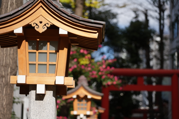 ソニー「α7Ⅴ」実写レビュー